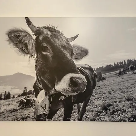 Allgaeuglueck - & Stadtnah Lejlighed