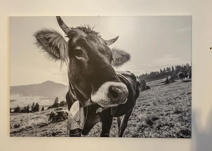 Allgaeuglueck - & Stadtnah Lejlighed